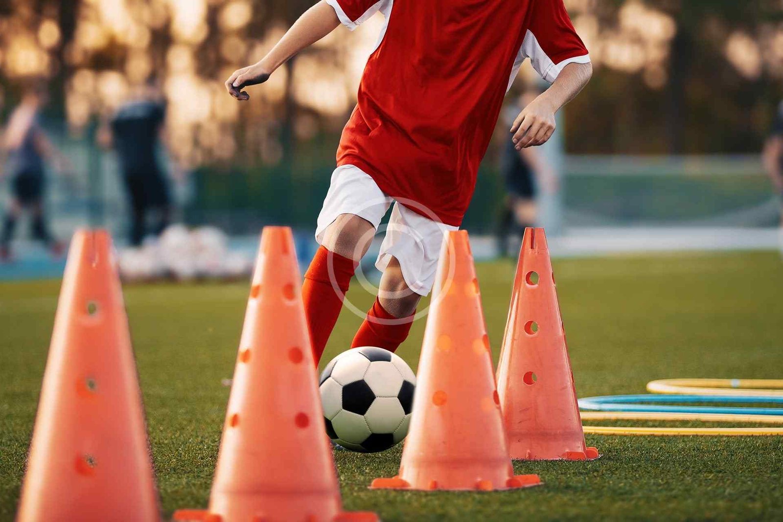 Coaching professionnel